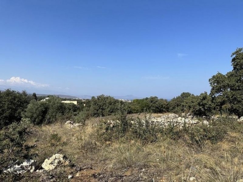 Gallos Kreta, Gallos: Erstklassiges Grundstück mit Meerblick zu verkaufen Grundstück kaufen